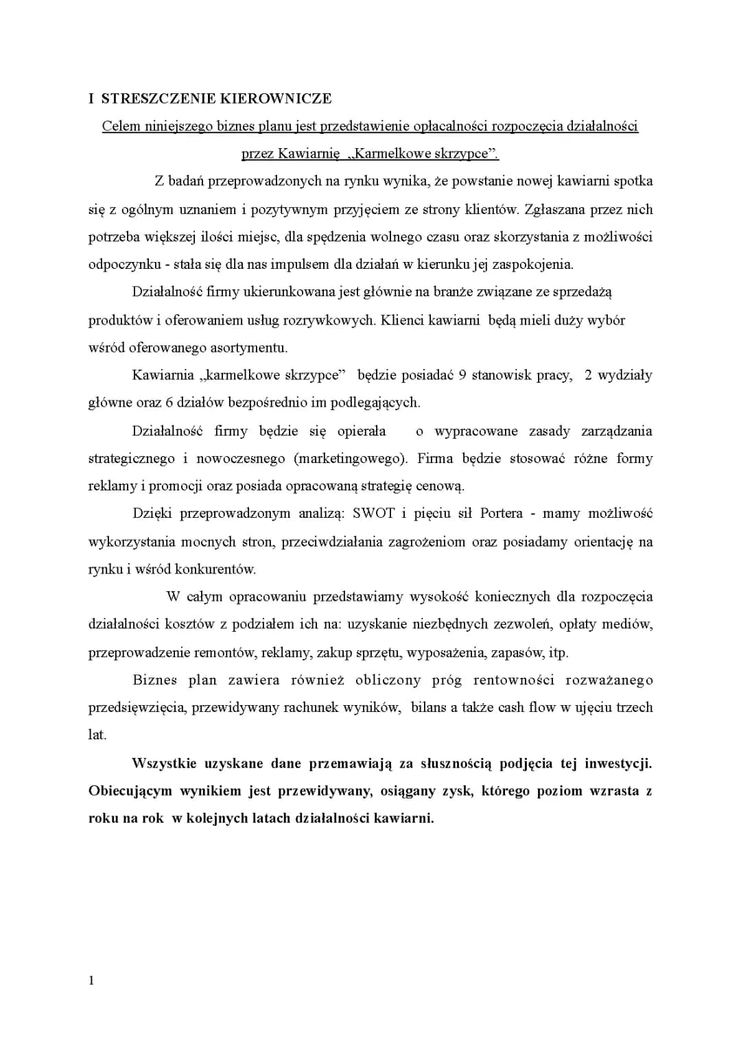 biznesplan 