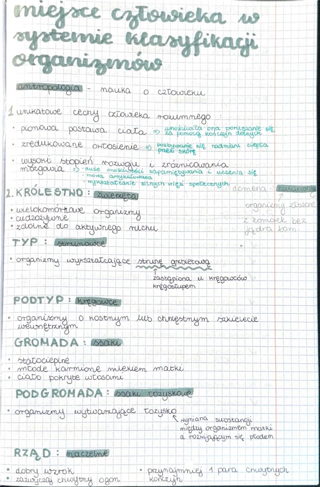 miejsce człowieka w
systemie klasyfikacji
organizmów
antropologia - nauka o człowieku
1. unikatowe cechy człowieka rozumnego:
- pionowa post