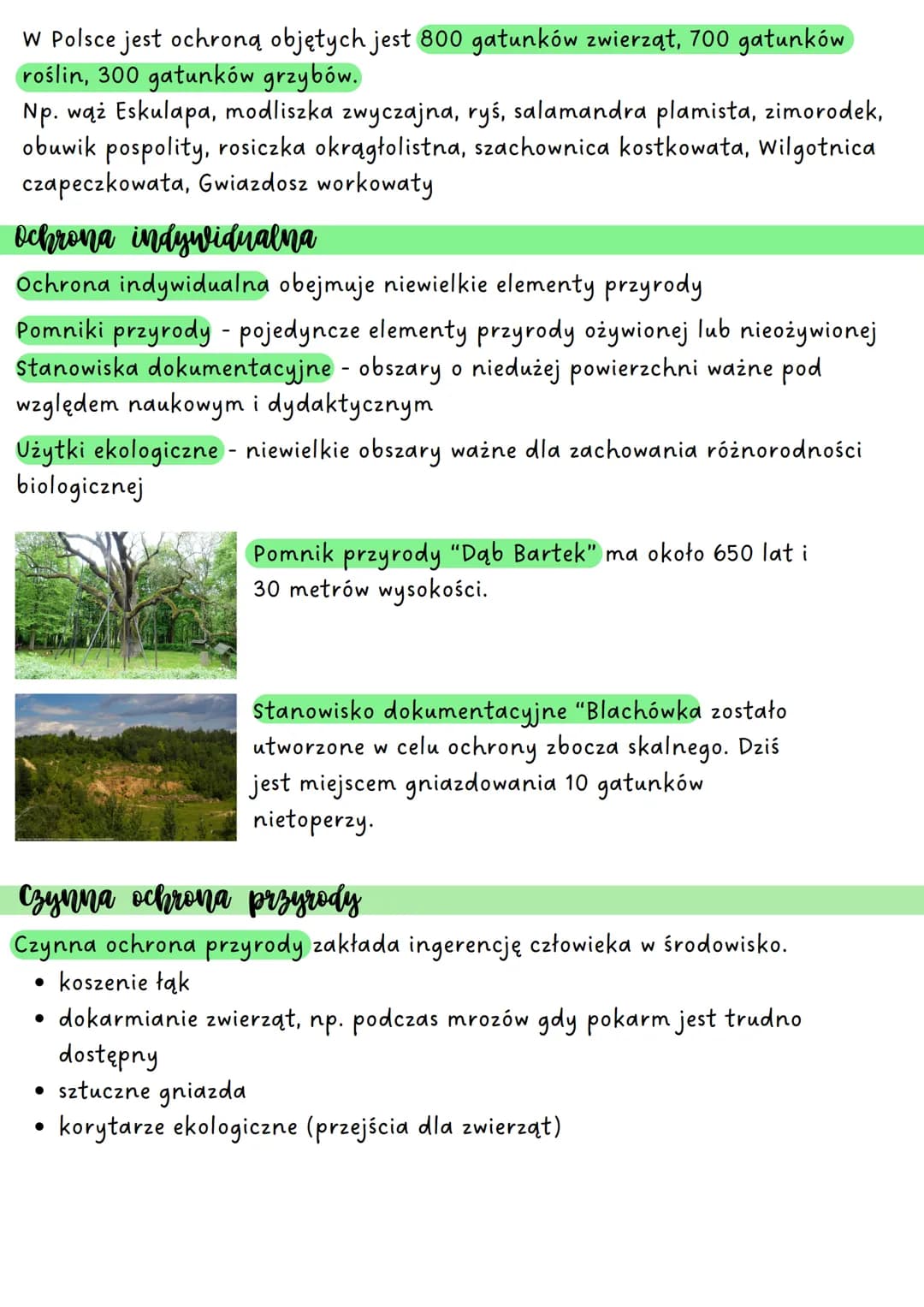 OCHRONA PRZYRODY
Ochrona obszarowa
Ochrona obszarowa obejmuje tereny cenne pod względem przyrodniczym,
krajobrazowym lub kultorowym.
Parki n