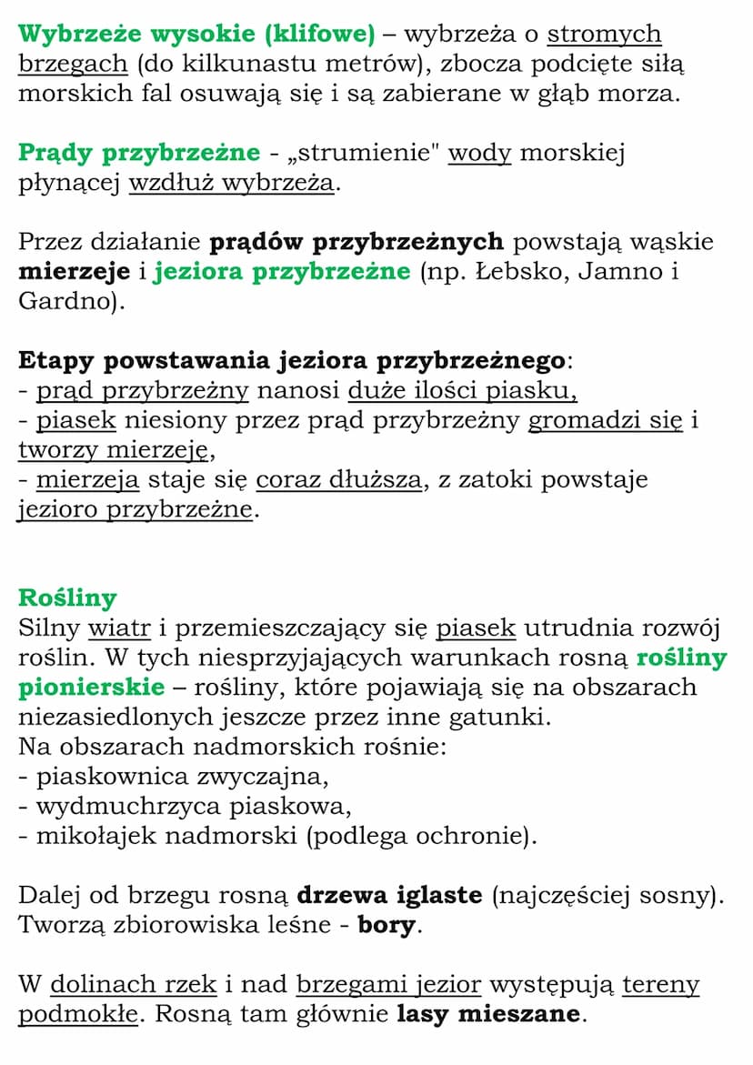 Krajobraz nadmorski
Wybrzeża Słowińskiego
Pas pobrzeży znajduje się w północnej części Polski,
wzdłuż Morza Bałtyckiego. W jego środkowej cz