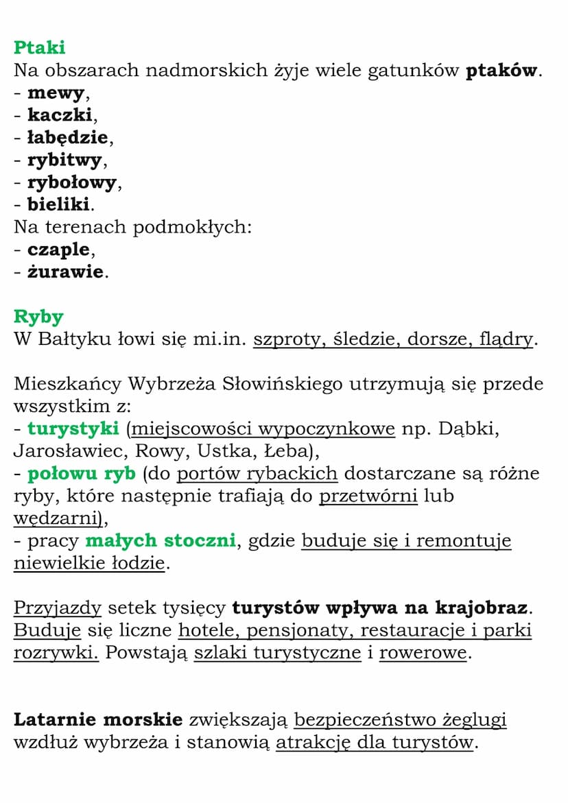 Krajobraz nadmorski
Wybrzeża Słowińskiego
Pas pobrzeży znajduje się w północnej części Polski,
wzdłuż Morza Bałtyckiego. W jego środkowej cz