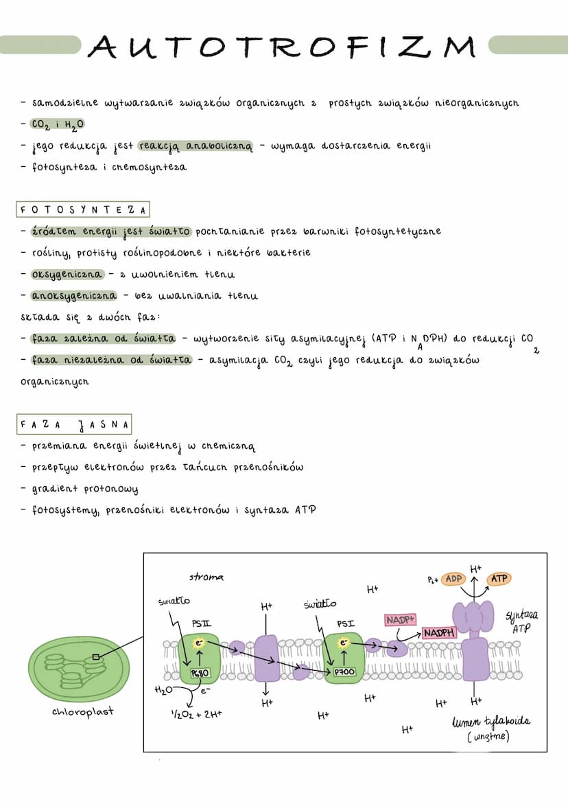 catość przemian chemicznych i energetycznych komórki
- anabolizm - reakcje syntezy złożonych związków chemicznych 2
prostszych substancji
- 