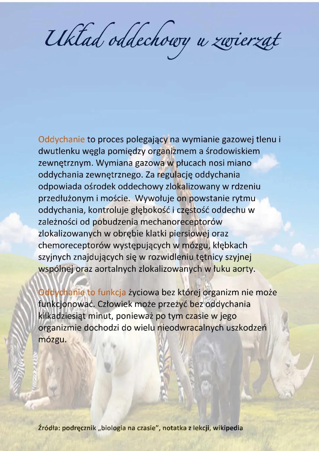 Funkcjonowanie Układu Oddechowego u Zwierząt: Kluczowe Informacje