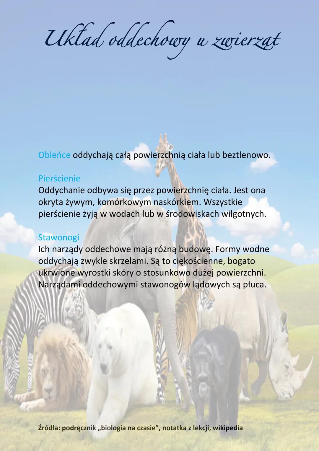 Układ oddechowy u zwierząt
Oddychanie to proces polegający na wymianie gazowej tlenu i
dwutlenku węgla pomiędzy organizmem a środowiskiem
ze