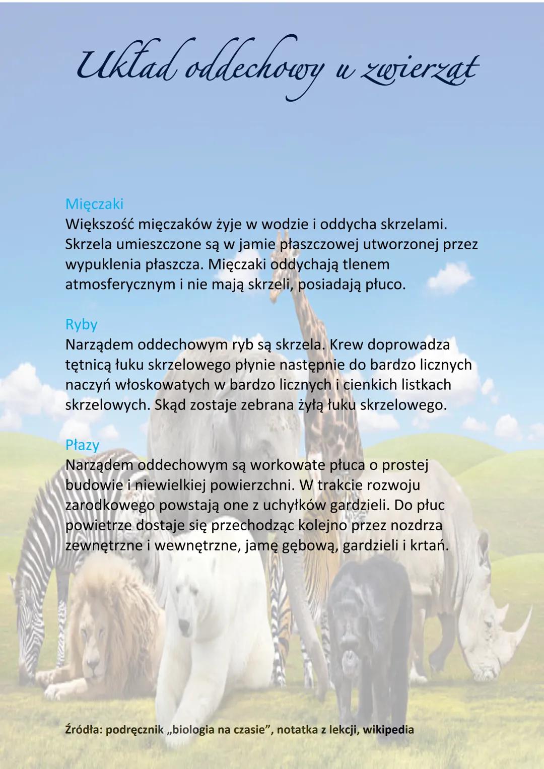Układ oddechowy u zwierząt
Oddychanie to proces polegający na wymianie gazowej tlenu i
dwutlenku węgla pomiędzy organizmem a środowiskiem
ze
