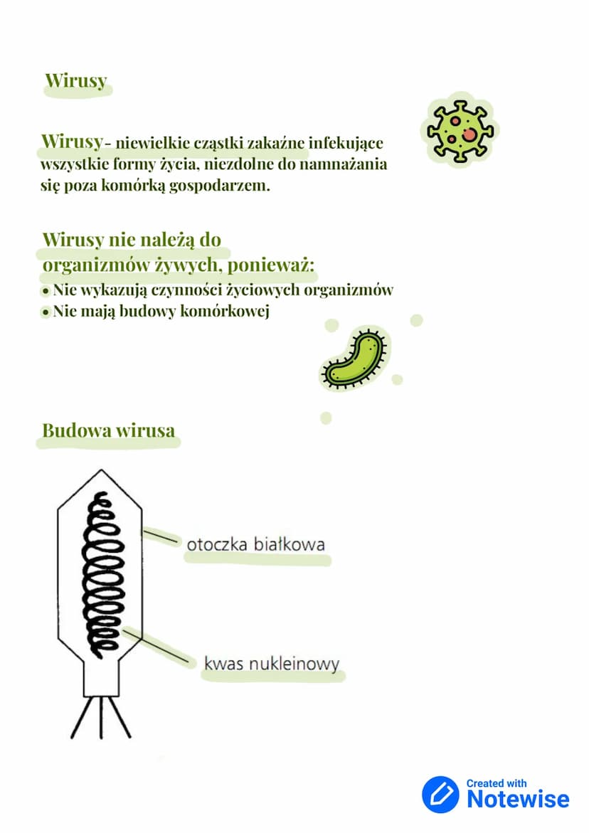 Wirusy, bakterie, protisty i grzyby
dział III - klasa 5
Królestwa
organizmów:
• Bakterie
•
Zwierzęta
Grzyby
• Rośliny
• Protisty
Gatunek - g