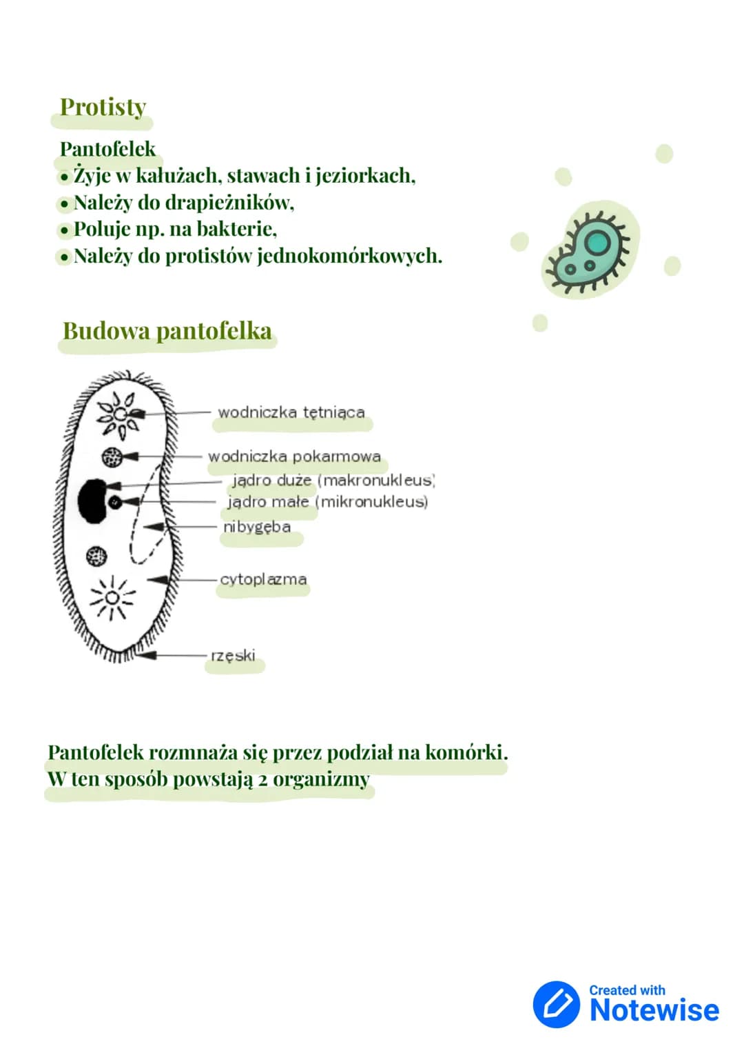 Wirusy, bakterie, protisty i grzyby
dział III - klasa 5
Królestwa
organizmów:
• Bakterie
•
Zwierzęta
Grzyby
• Rośliny
• Protisty
Gatunek - g