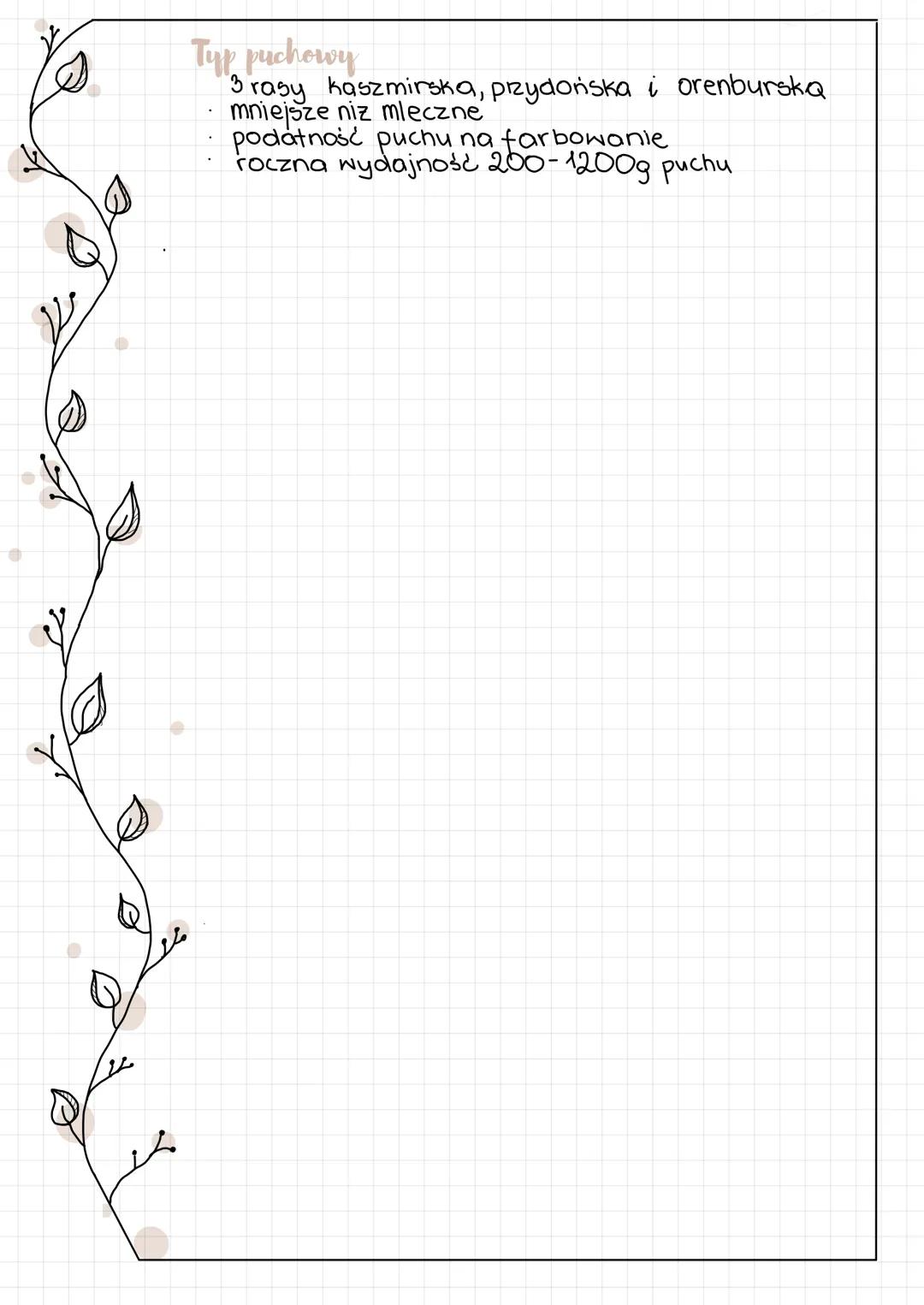 Typy uzytkowe koz
Typ welnisty
tylko dwie rasy: angorska i rosyjska wełnista
kozy tego typu mają drobną budowe ciata.
plenność 100-110%!
cia