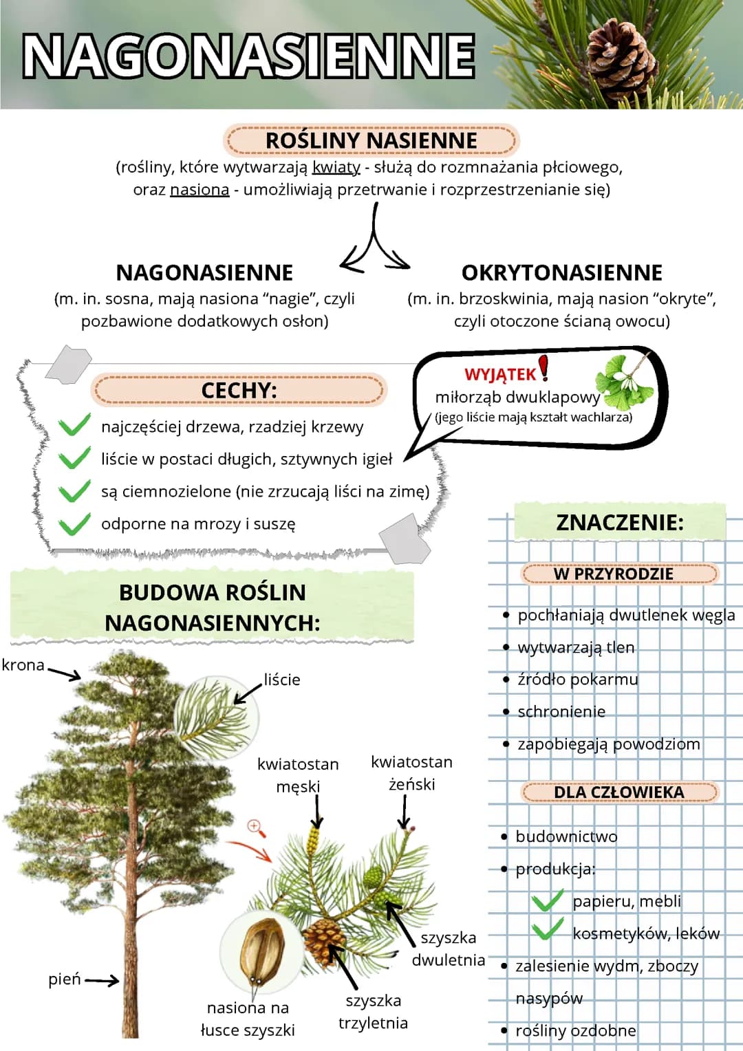 Nagonasienne