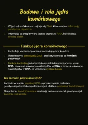 Know Budowa i rola jądra komórkowego thumbnail