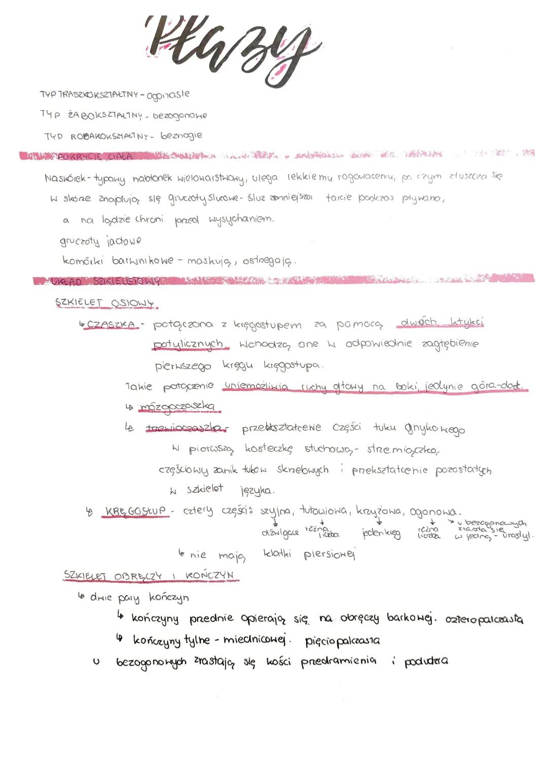 # Płazy

TYP TRASZKOKSZTAŁTNY-ogonasle

TYP ZABOKSZTAŁTNY bezogaпоне

TYD ROBAKOKSZTAŁT NY beznogie

POKRYCIE CIALA

Naskórek-typowy nabtone