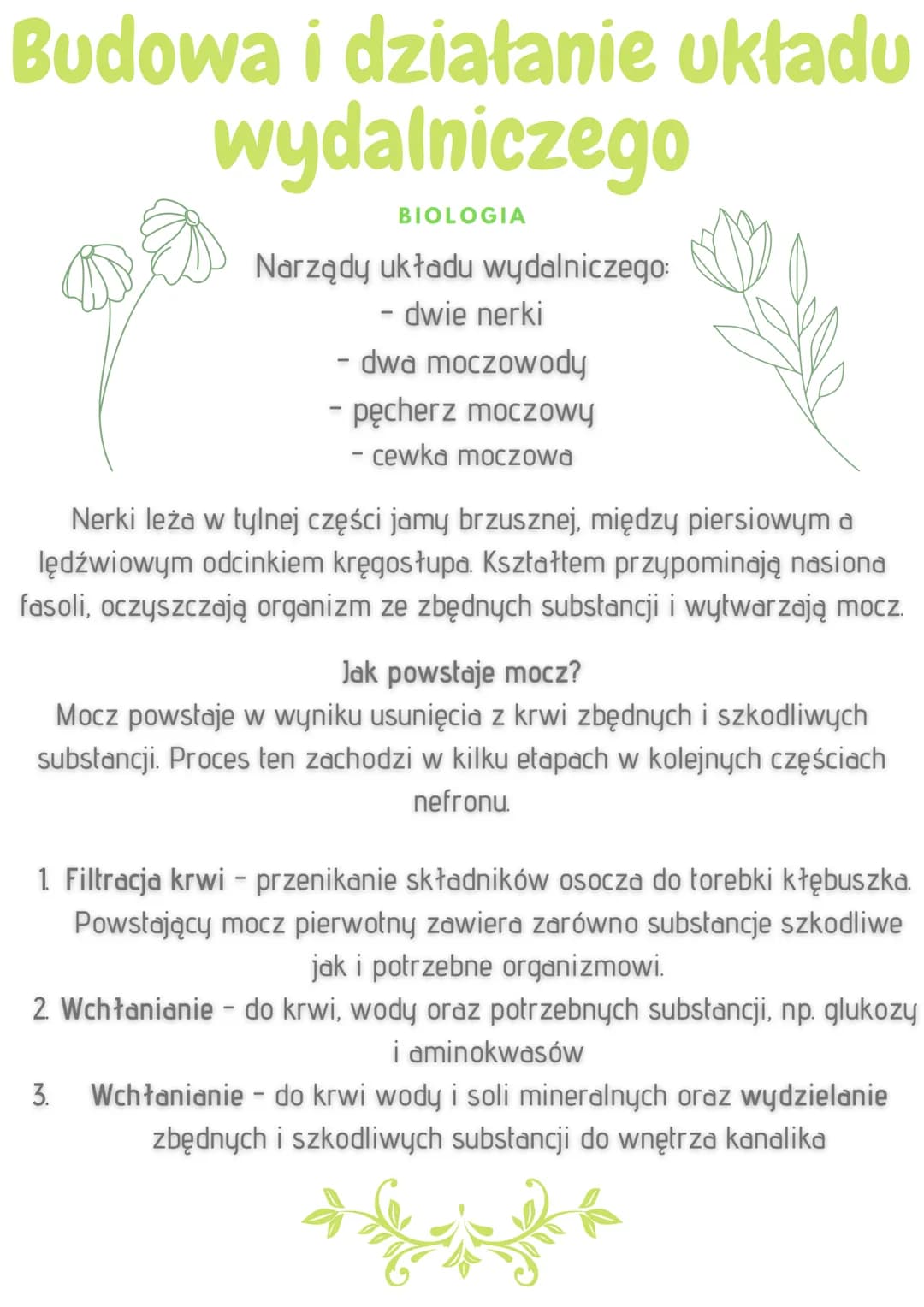 Budowa i działanie układu
wydalniczego
BIOLOGIA
W organizmie człowieka powstają liczne związki potrzebne do życia.
Jednocześnie tworzą się n