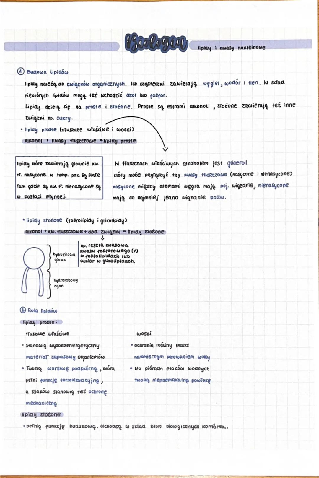 Lipidy - budowa i znaczenie