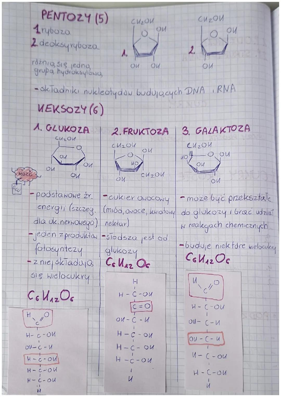 3. WĘGLOWODANY
Sacharydy
Węglowodany = Cukry (sa to związki org.)
• Związki na bazie węgla, wodoru tenu
- Zawsze przy jednym (kazdym) węglu
