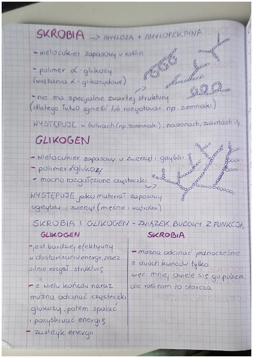3. WĘGLOWODANY
Sacharydy
Węglowodany = Cukry (sa to związki org.)
• Związki na bazie węgla, wodoru tenu
- Zawsze przy jednym (kazdym) węglu
