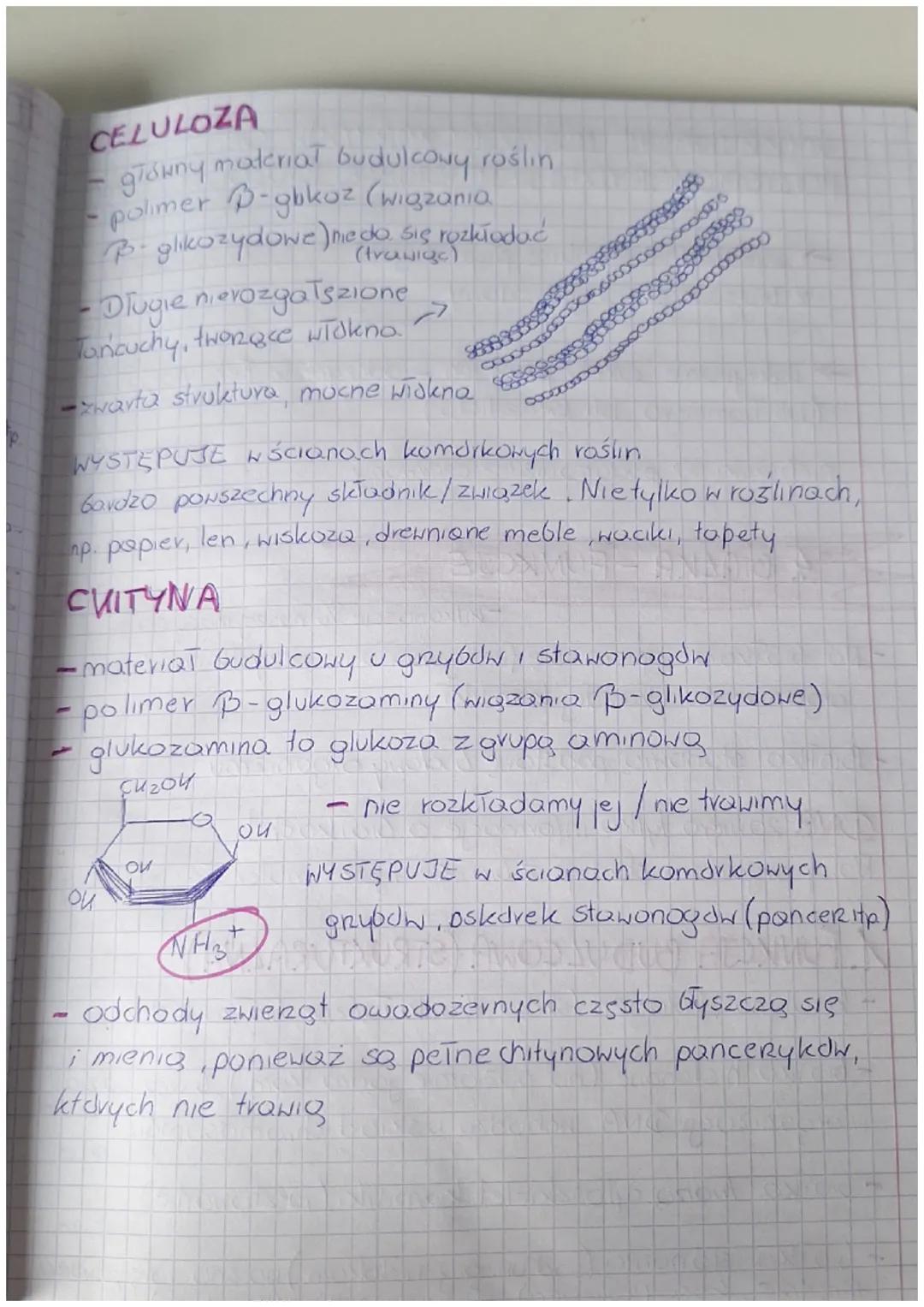 3. WĘGLOWODANY
Sacharydy
Węglowodany = Cukry (sa to związki org.)
• Związki na bazie węgla, wodoru tenu
- Zawsze przy jednym (kazdym) węglu
