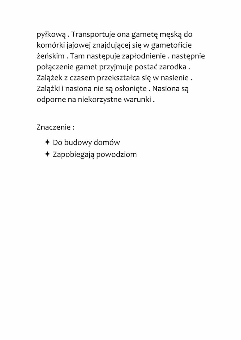 ROŚLINY NAGONASIENNE
To drzewa oraz krzewy. Większość należy do roślin
iglastych. Mają one igły lub łuski. Zrzucają je
stopniowo co kilka la