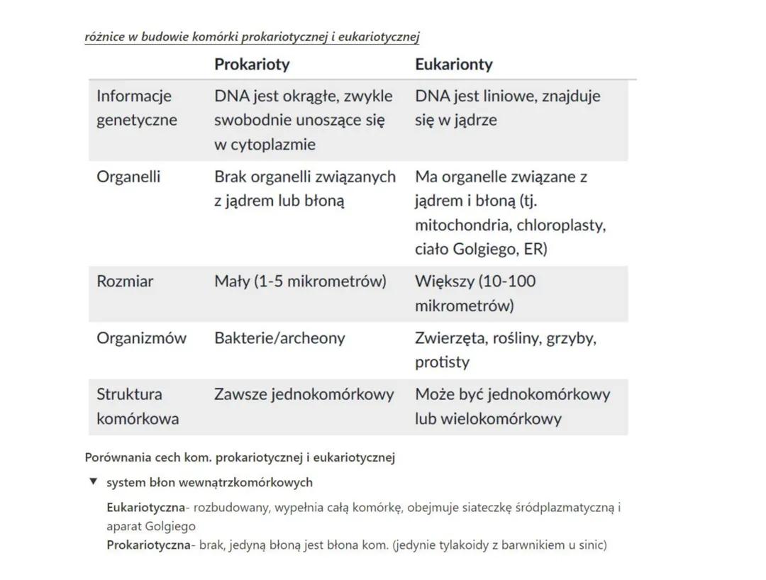 Komórka- eukariotyczna vs prokariotyczna