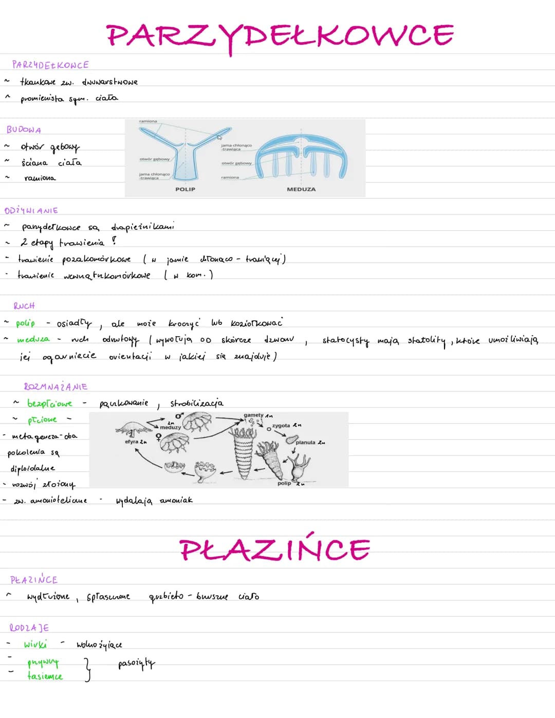 ~
1
^
^
~
~
PODZIAŁ ZWIERZĄT
best kaukowce
tkankowce
dw uwarstwowce
trojwarstwowce
ROZWOJ ZARODKOWY
plemnik (1n) + kan jajowa (14)
давкі
mik