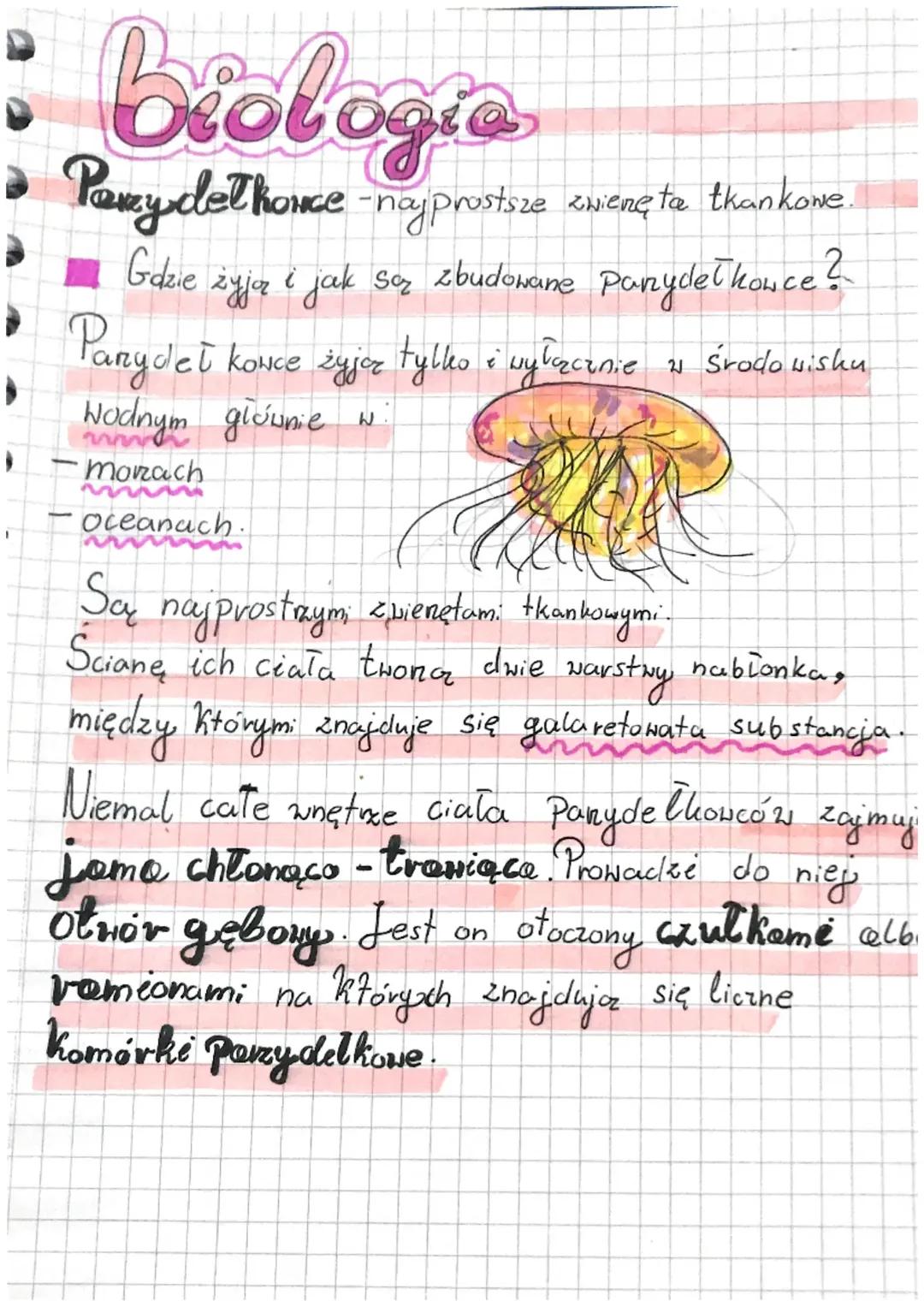 Parzydełkowce - Podstawowe informacje o najprostszych zwierzętach tkankowych