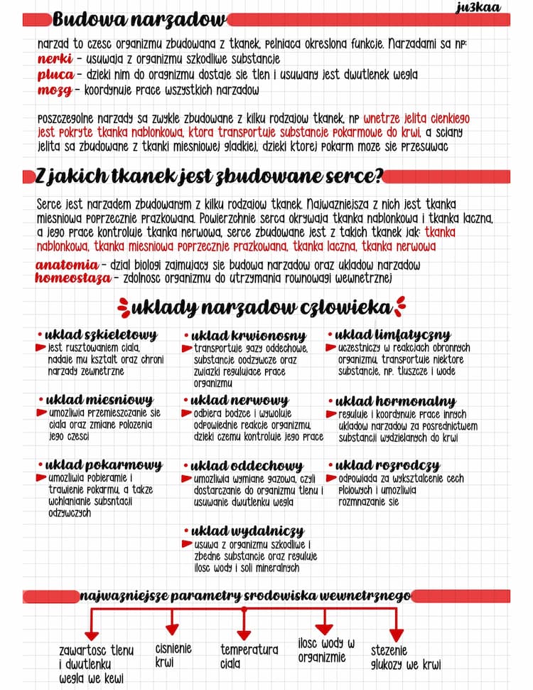 Know organizm człowieka jako funkcjonalna całość  thumbnail