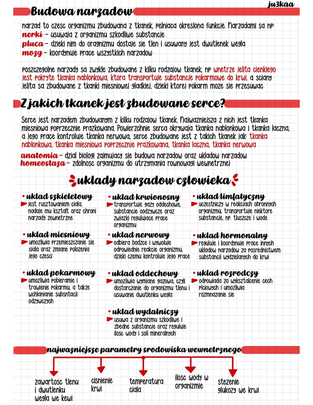 organizm człowieka jako funkcjonalna całość 
