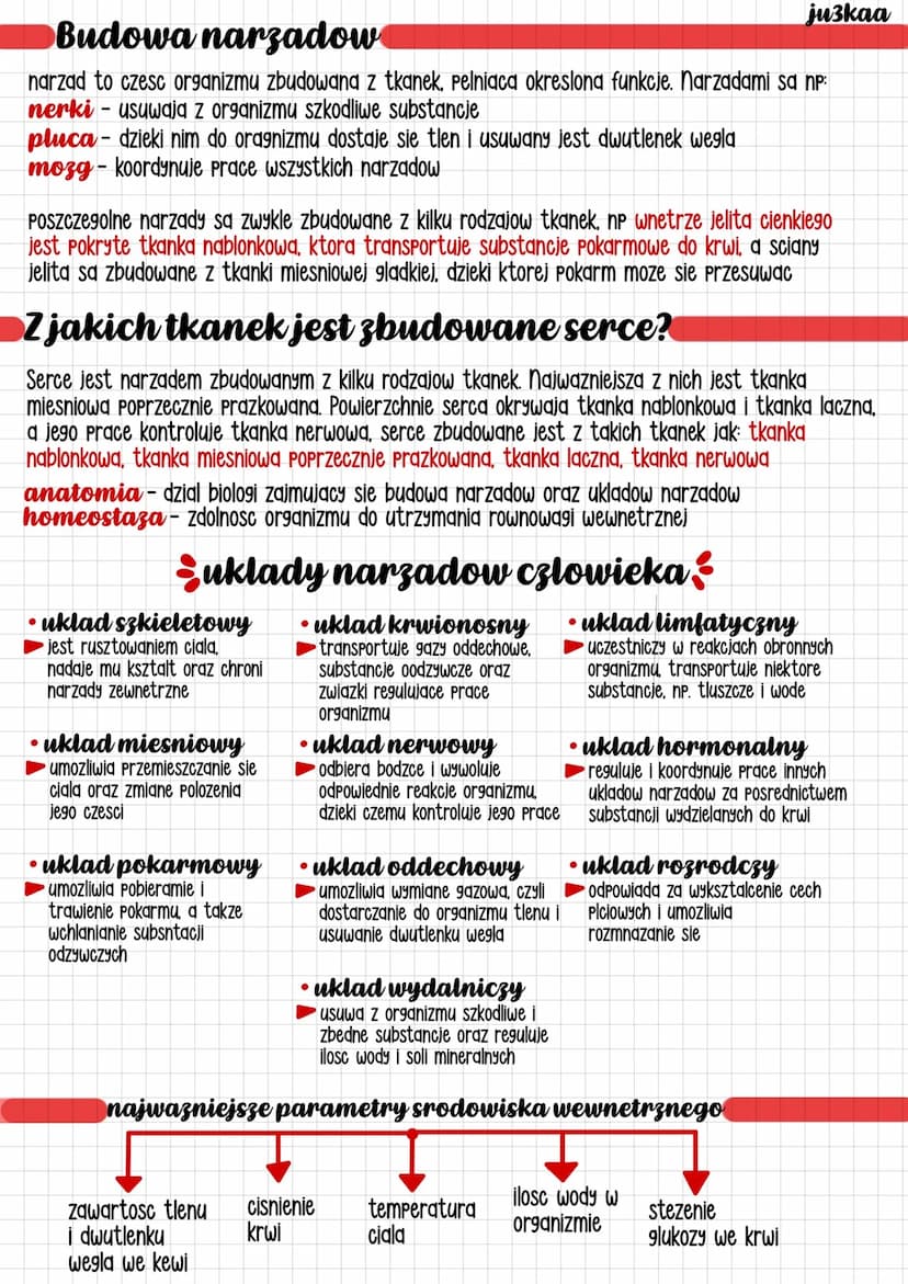 ju3kaa
Budowa narzadow
narzad to czesc organizmu zbudowana z tkanek. Pelniaca okreslona funkcje. Narzadami sa np:
nerki - usuwają z organizm