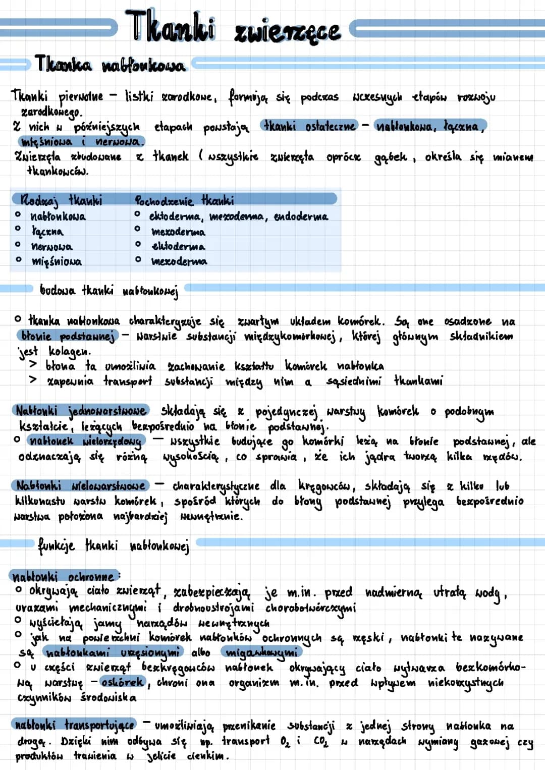 Tkanka nabłonkowa - funkcje, budowa i rodzaje