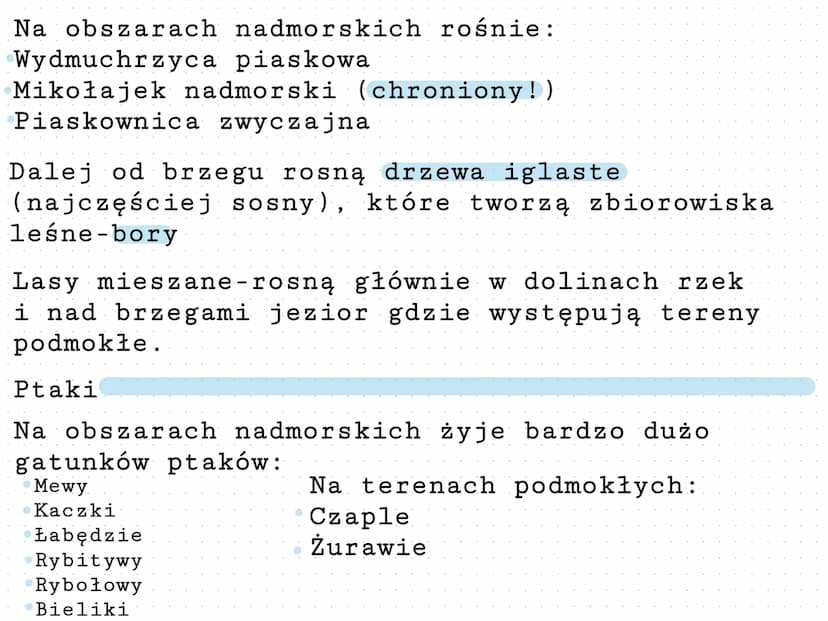 Krajobraz nadmorski Wybrzeża Słowińskiego
Geografia
Pas pobrzeży- znajduje się w północnej
części Polski, wzdłuż Morza Bałtyckiego. W
jego ś