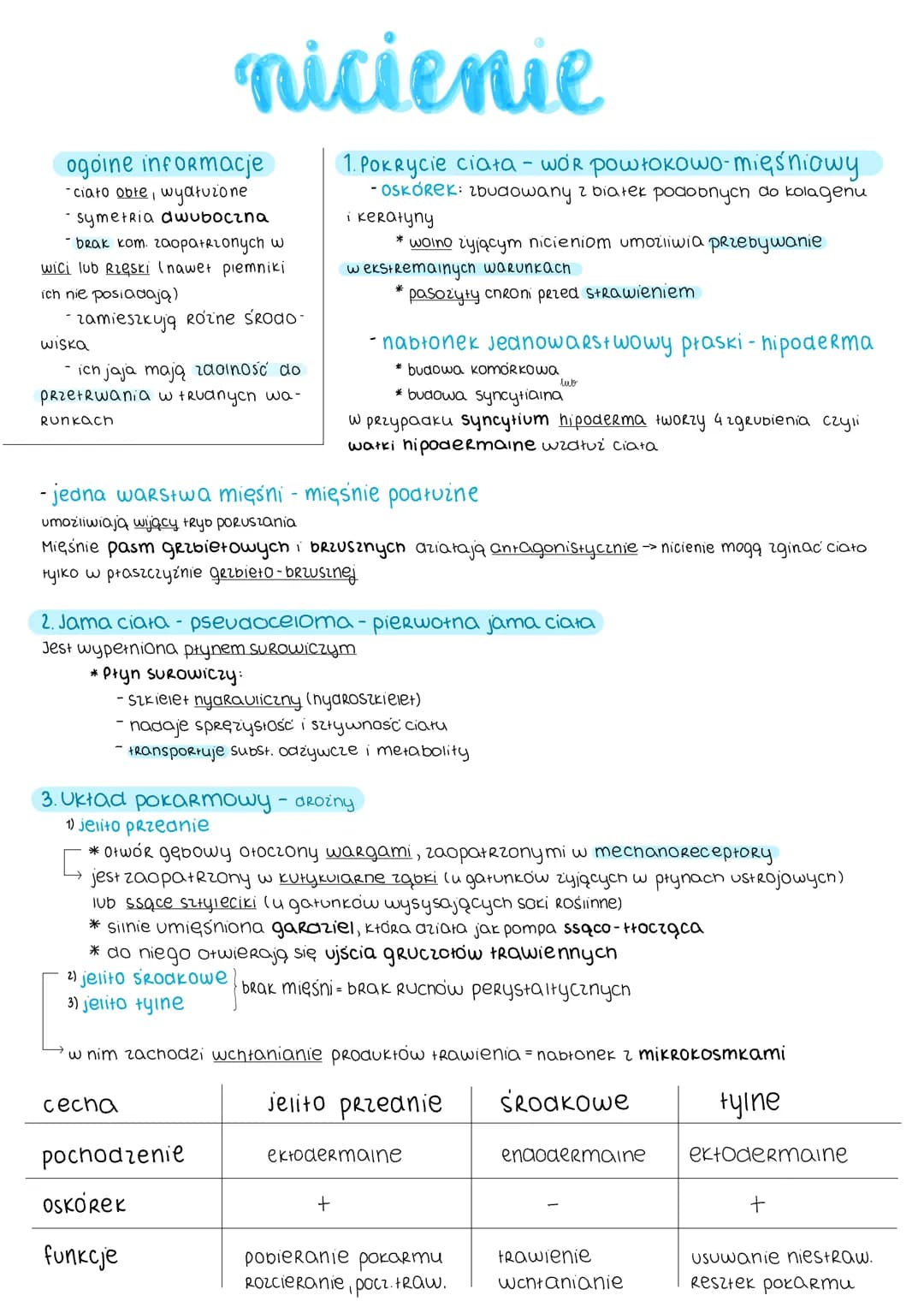 ogoine informacje
-ciato obte, wydłużone
·symetria dwuboczna
- brak kom. zaopatrzonych w
wici lub Rięski (nawet plemniki
ich nie posiadają)
