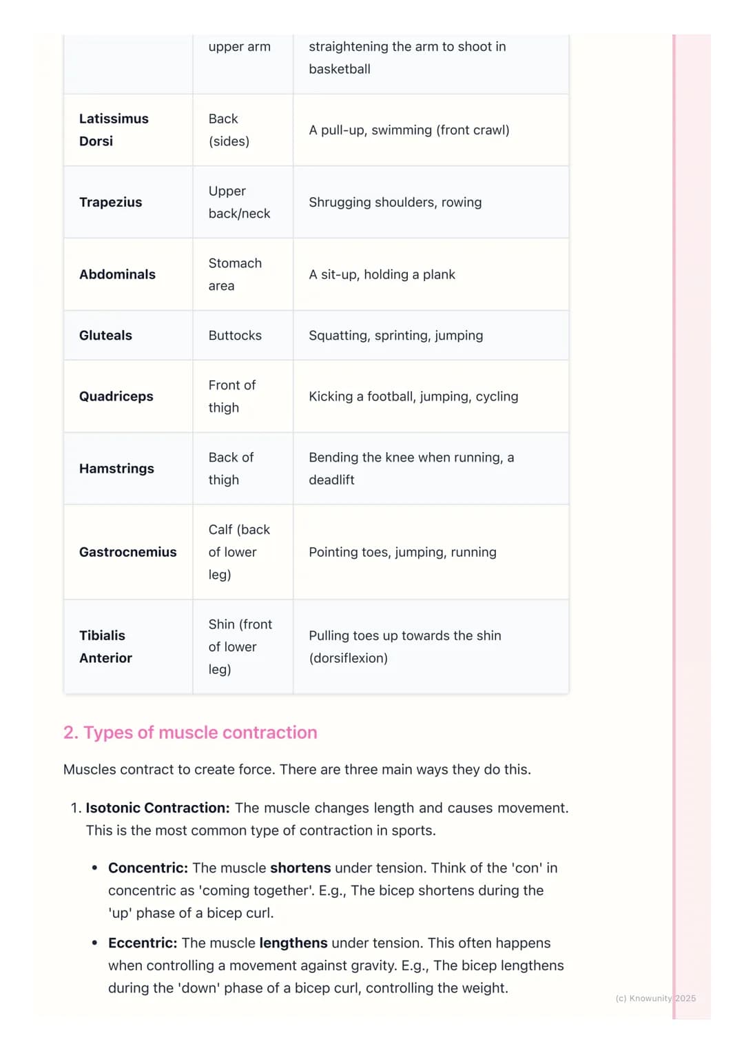 # The Muscular System

An introduction to the muscular system

The muscular system is what allows our bodies to move. It's made up of over
6