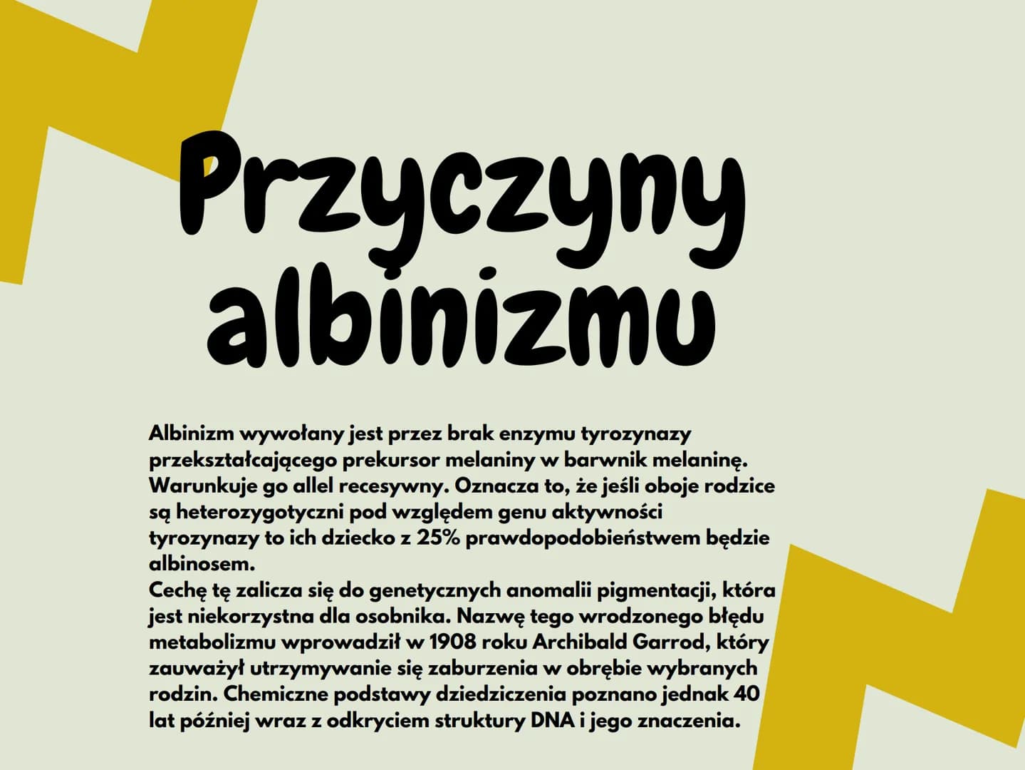 <h2 id="czymjestalbinizm">Czym jest albinizm?</h2>
<p>Albinizm (bielactwo) to stan, w którym brakuje pigmentu w skórze, włosach, tęczówce ok