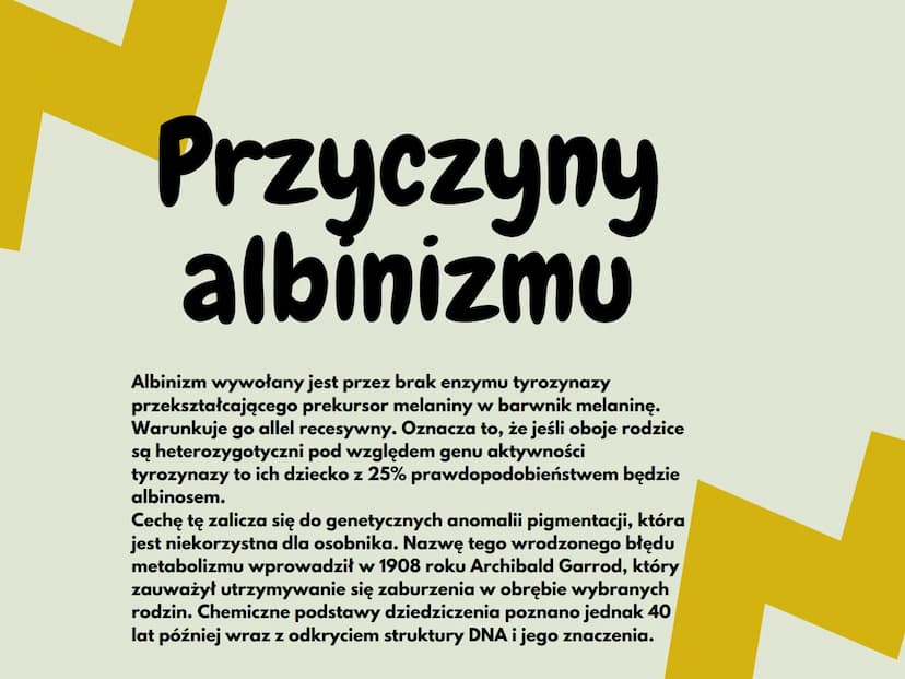 <h2 id="czymjestalbinizm">Czym jest albinizm?</h2>
<p>Albinizm (bielactwo) to stan, w którym brakuje pigmentu w skórze, włosach, tęczówce ok