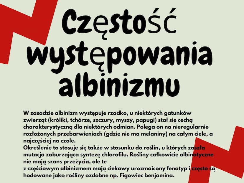 <h2 id="czymjestalbinizm">Czym jest albinizm?</h2>
<p>Albinizm (bielactwo) to stan, w którym brakuje pigmentu w skórze, włosach, tęczówce ok