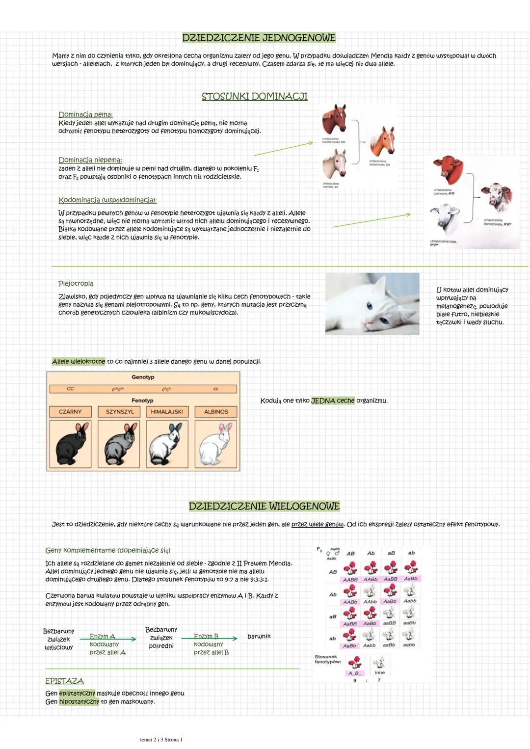 Dziedziczenie genowe: jednogenowe i wielogenowe