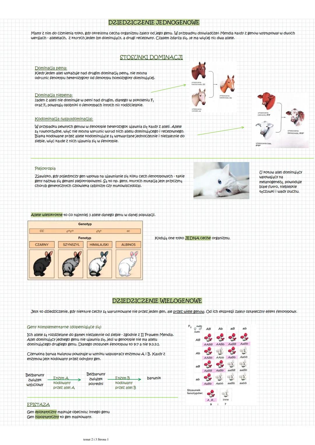 DZIEDZICZENIE JEDNOGENOWE
Mamy z nim do czynienia tylko, gdy określona cecha organizmu zależy od jego genu. W przypadku doświadczeń Mendla k