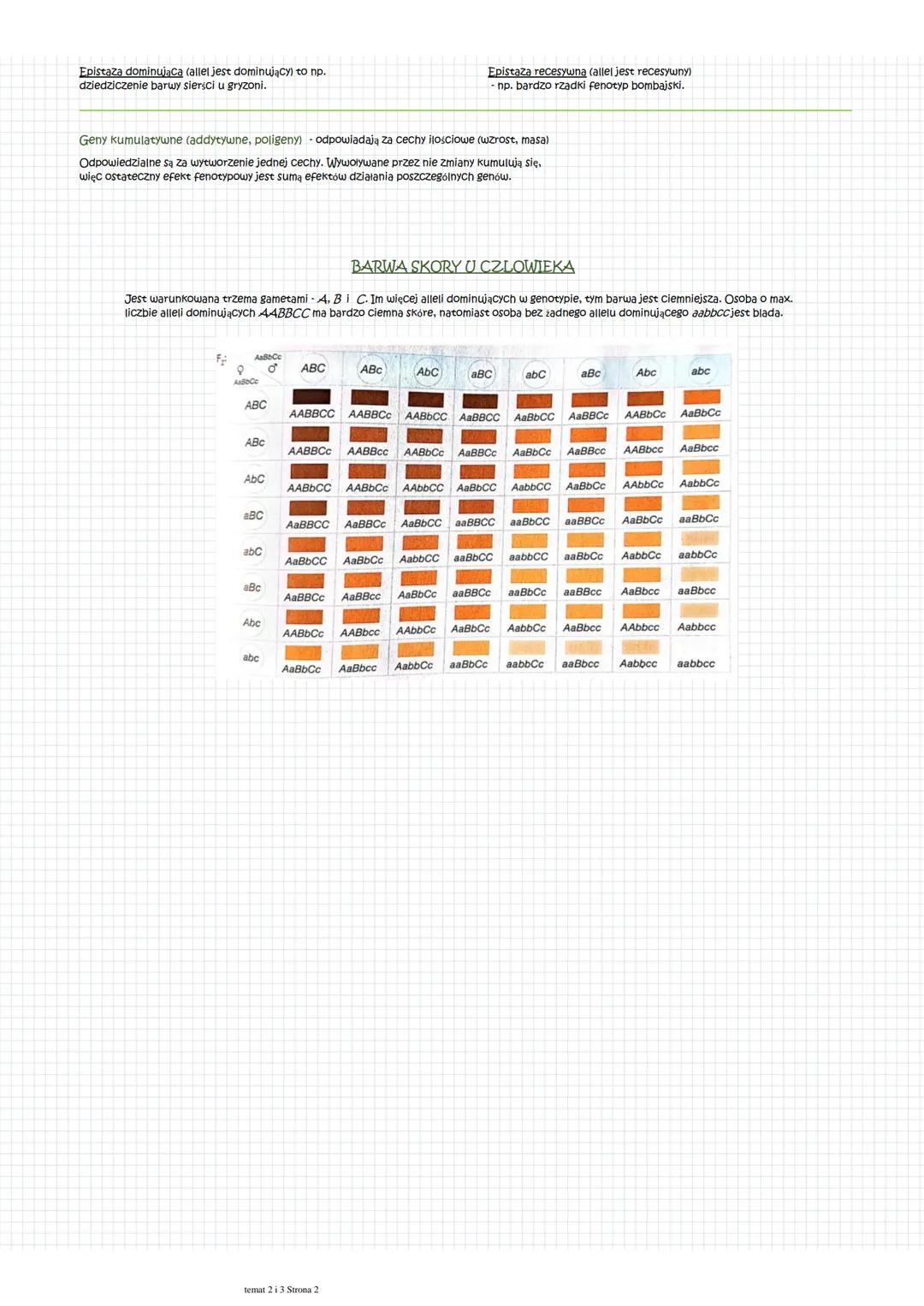 DZIEDZICZENIE JEDNOGENOWE
Mamy z nim do czynienia tylko, gdy określona cecha organizmu zależy od jego genu. W przypadku doświadczeń Mendla k