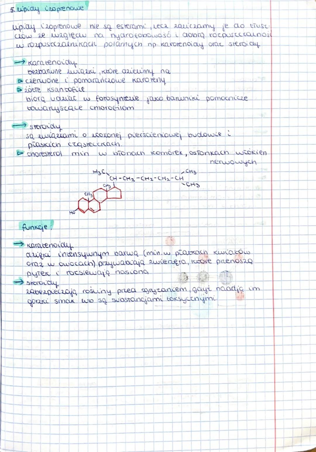 lemat Budowa i funkcje rupiaów.

upiay (ttusxczowce) stanowią główny składnik bion biologicznych
wszystkich organizmów.

1. budowa i rodzaje