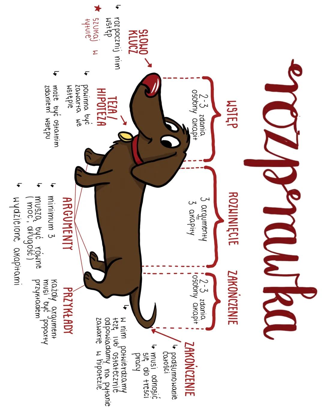 Jak napisać dobrą rozprawkę? Porady i wskazówki
