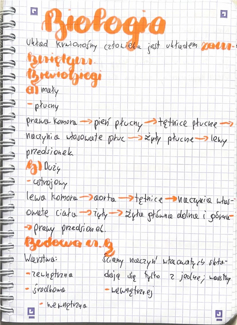 # Biologia
Skład krwi. Krew jest  Hęską ręczną płyny
ok. 46% krwi to elementy morfotyczne:
- erytrocyty.
- leukocyty.
- płytki krwi.
Pozosta