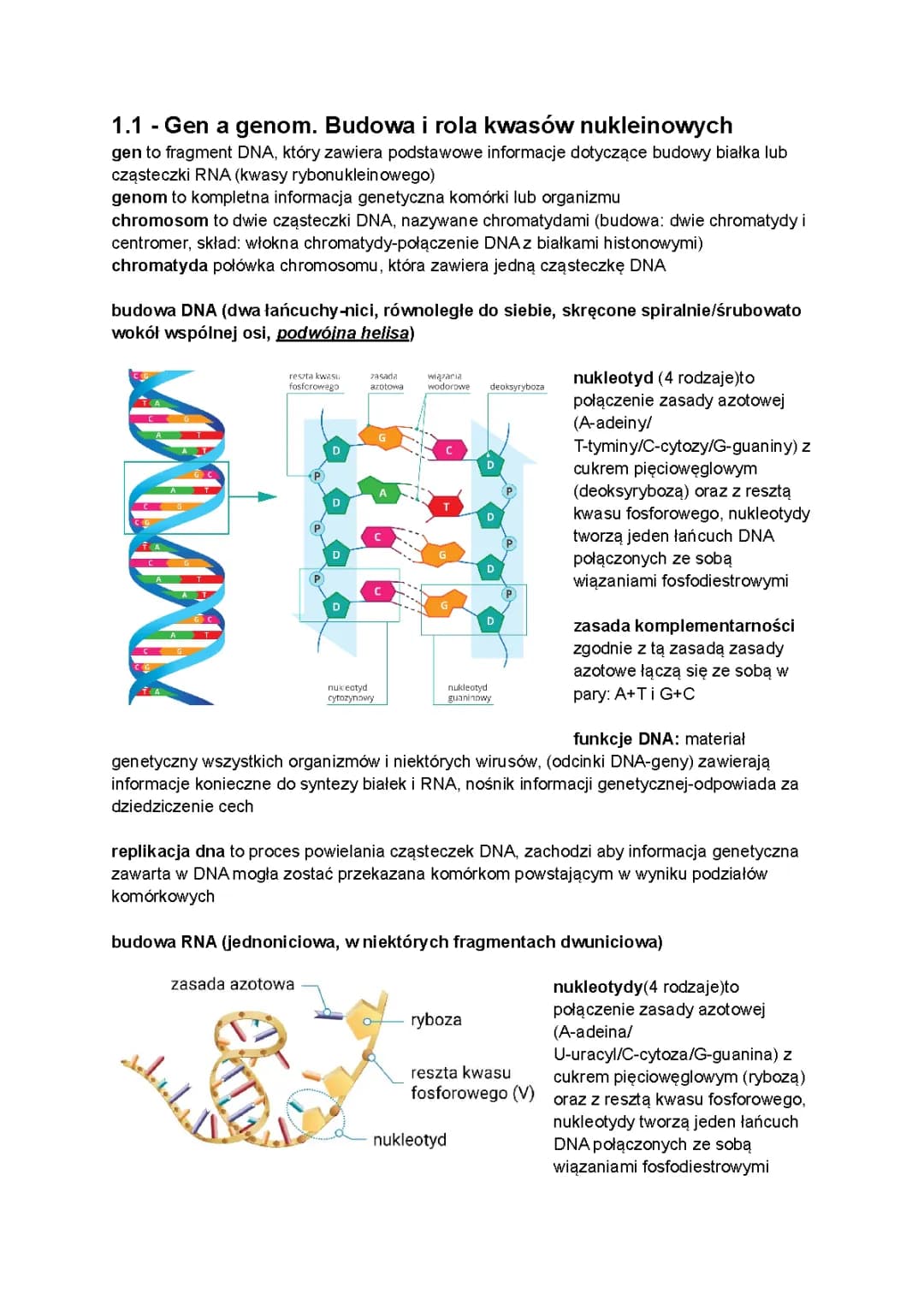 Biologia na czasie 3 - PDF, e-podręcznik i notatki dla klas 8