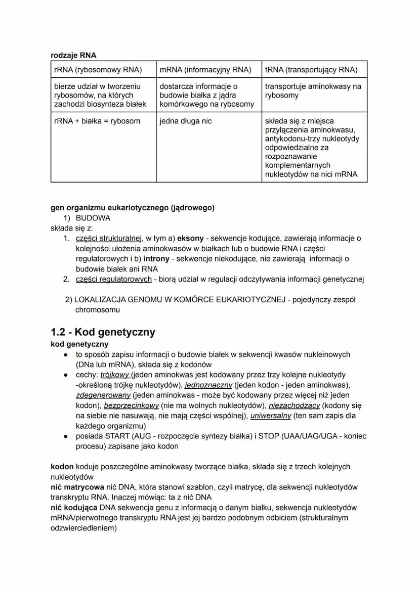 1.1 - Gen a genom. Budowa i rola kwasów nukleinowych
gen to fragment DNA, który zawiera podstawowe informacje dotyczące budowy białka lub
cz