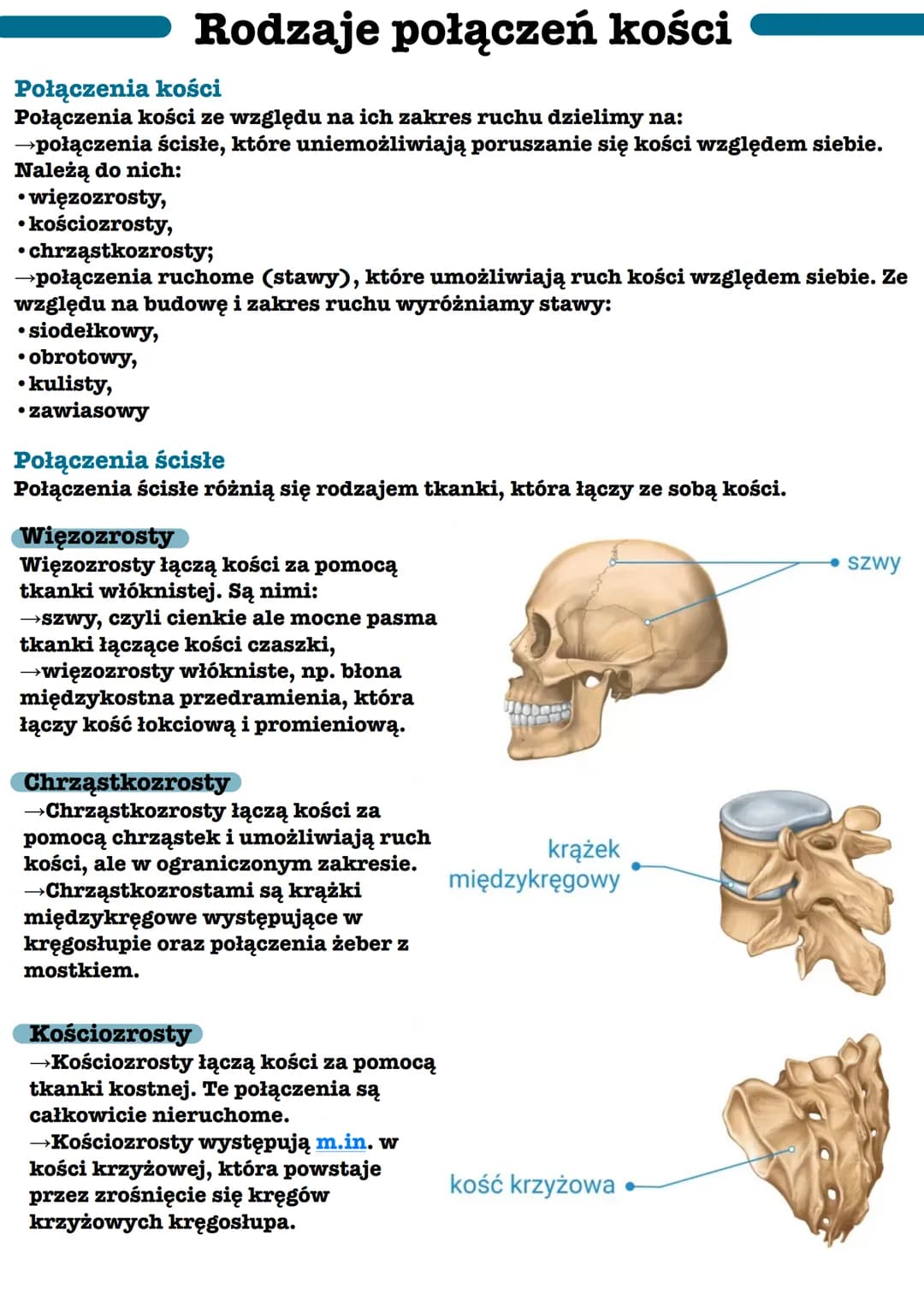 Rodzaje połączeń kości
Połączenia kości
Połączenia kości ze względu na ich zakres ruchu dzielimy na:
→połączenia ścisłe, które uniemożliwiaj