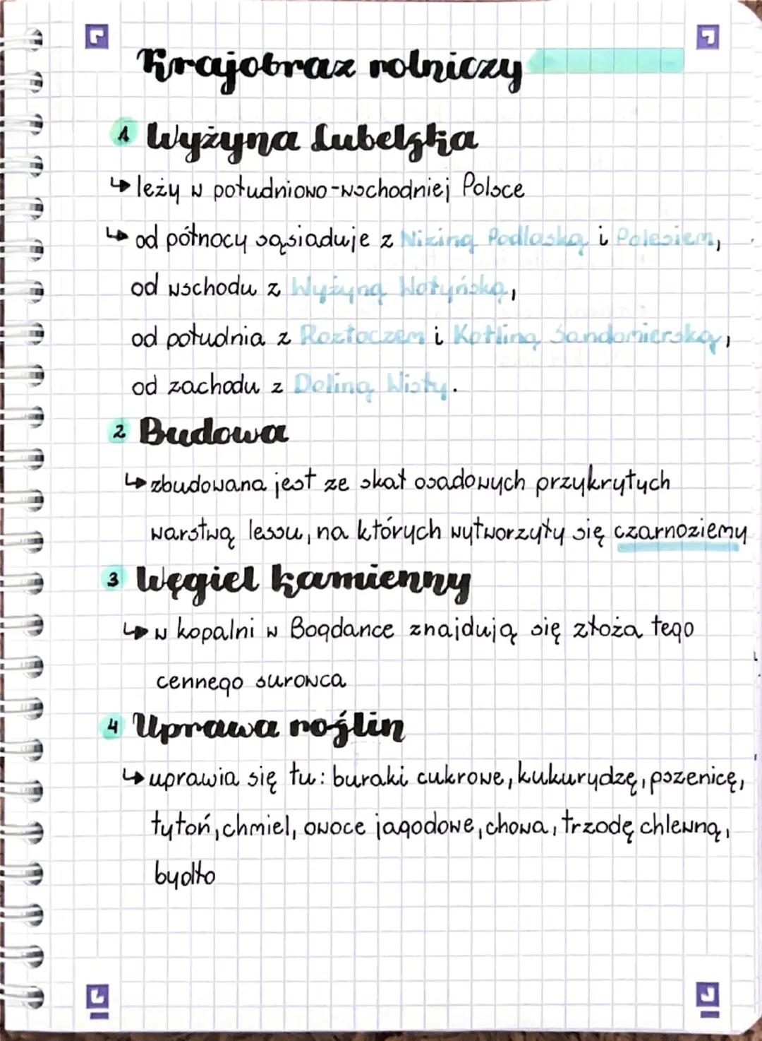 Krajobraz rolniczy
▲ Wyżyna Lubelzka
→leży w południowo-nochodniej Poloce
od północy sąsiaduje z Nizing Podlaska, i Polesiem,
od wschodu z W