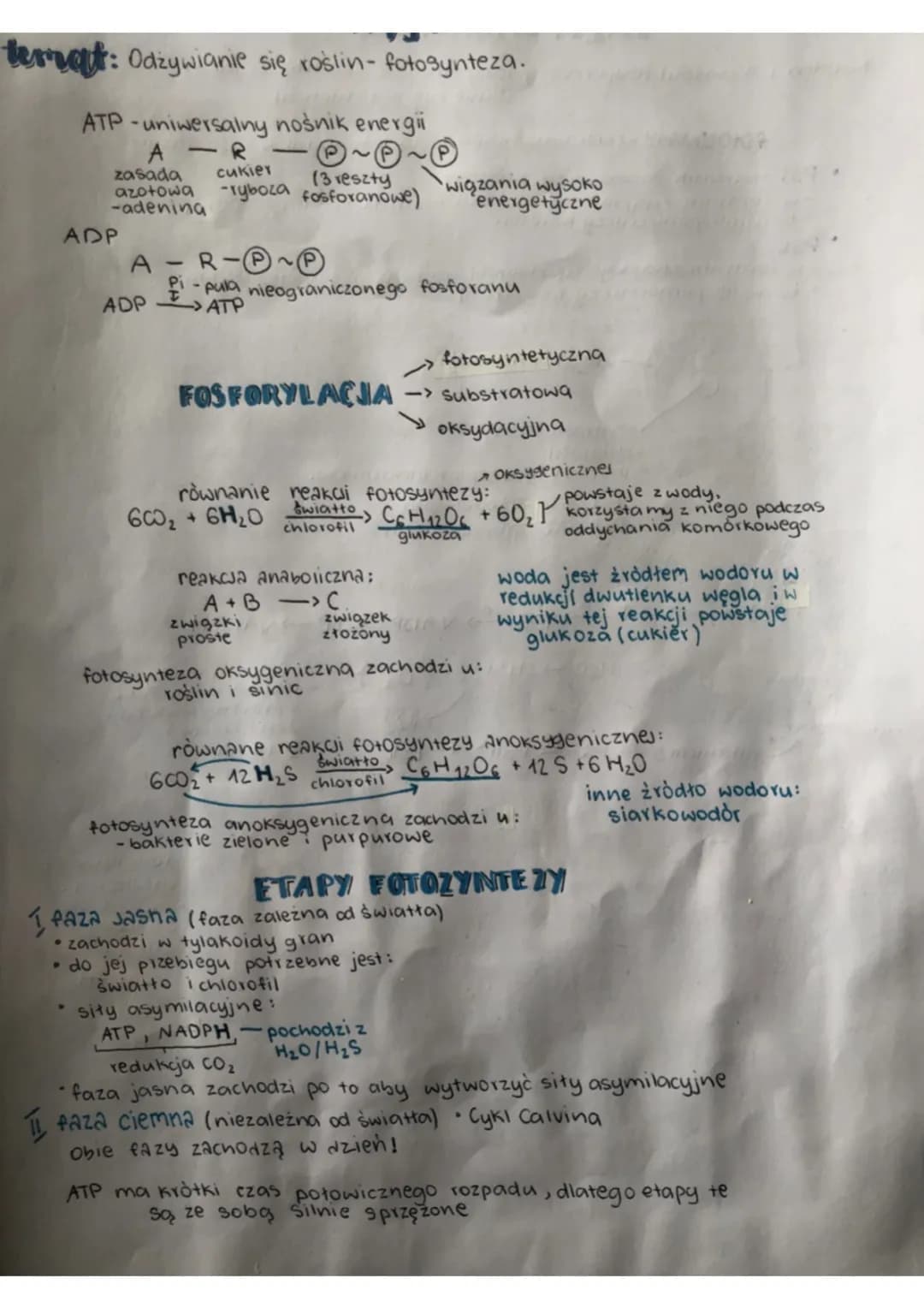 Co to jest fotosynteza? Proces odżywiania się roślin najprościej