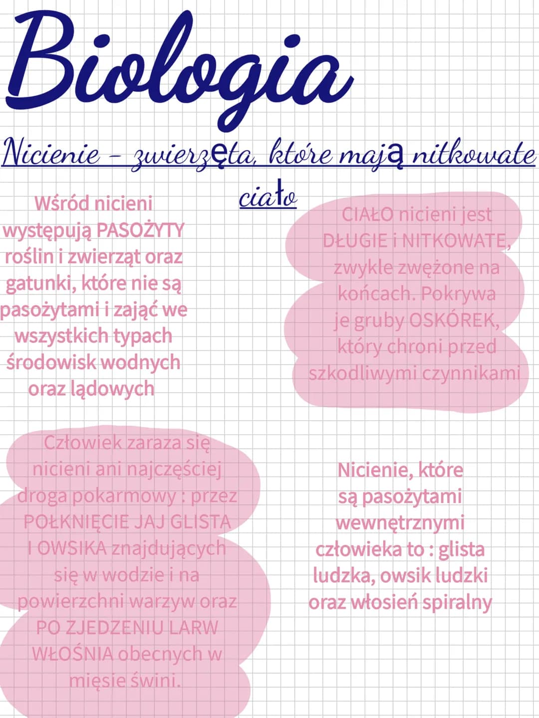 Biologia
Nicienie – zwierzęta, które mają nitkowate
T
ciało
Wśród nicieni
występują PASOŻYTY
roślin i zwierząt oraz
gatunki, które nie są
pa
