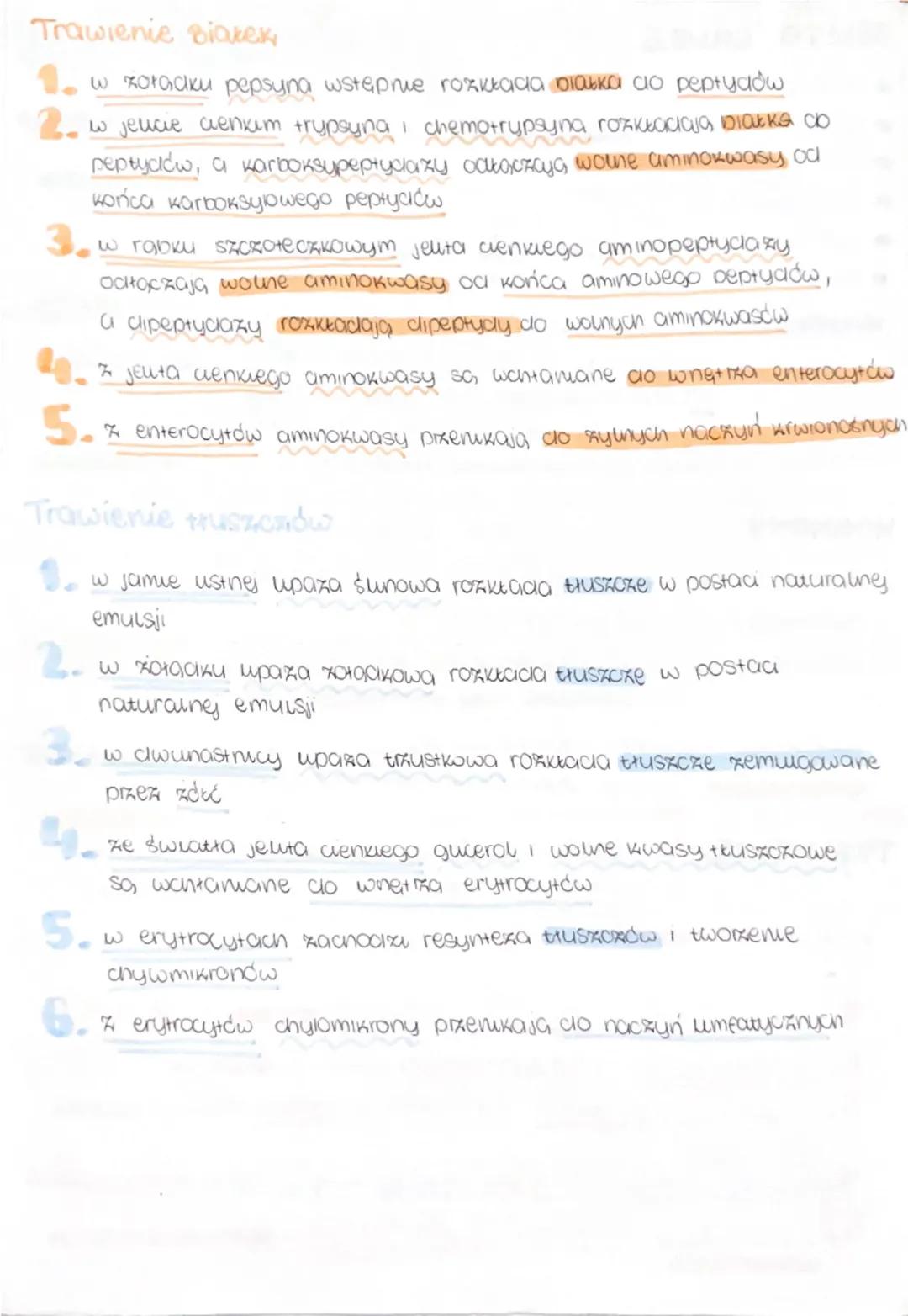 --- OCR Start ---
uktud pokarmowy
BUDOWA I FUNKCJE
sama ustra (pobierarue rozdrabnianie pokarmu,
sunmanki (wydzielanie suny)
wstępne trawie 