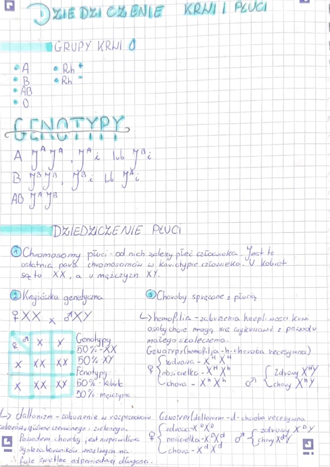 DZIEDZICZENIE KRWI | PLUCI
GRUPY KRUJI O
• Rh
• Rh
A
AB
CENOTYPY
HA
A MAYA MA i lub Mai
yoi
B M³y₁
MB Tub
AB JAJB
DZIEDZICZENIE PLUCI
Ⓒ Chro