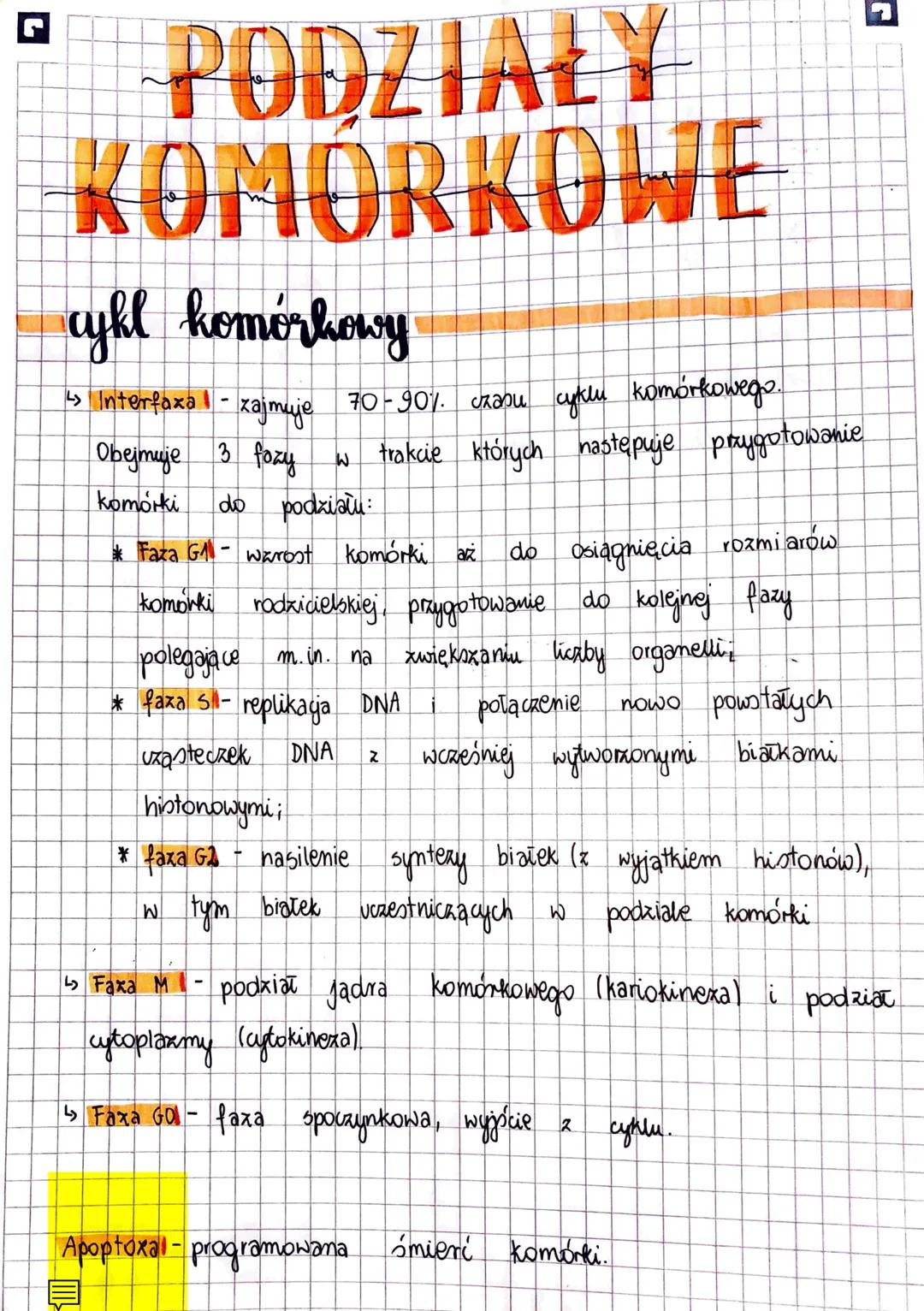 Podziały komórkowe: mitoza, mejoza i cykl komórkowy