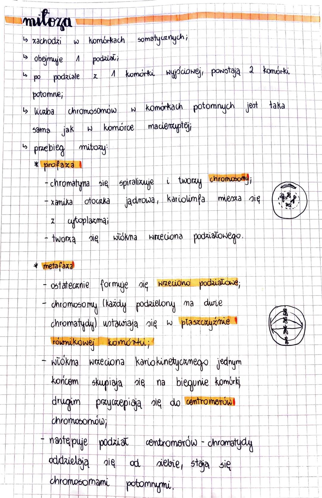 7
PODZIAŁY
KOMÓRKOWE
cykl komórkowy
↳> Interfaxa - zajmuje
Obejmuje 3 Pozy
komórki
70-90%. czasu cyklu komórkowego.
W trakcie których następ